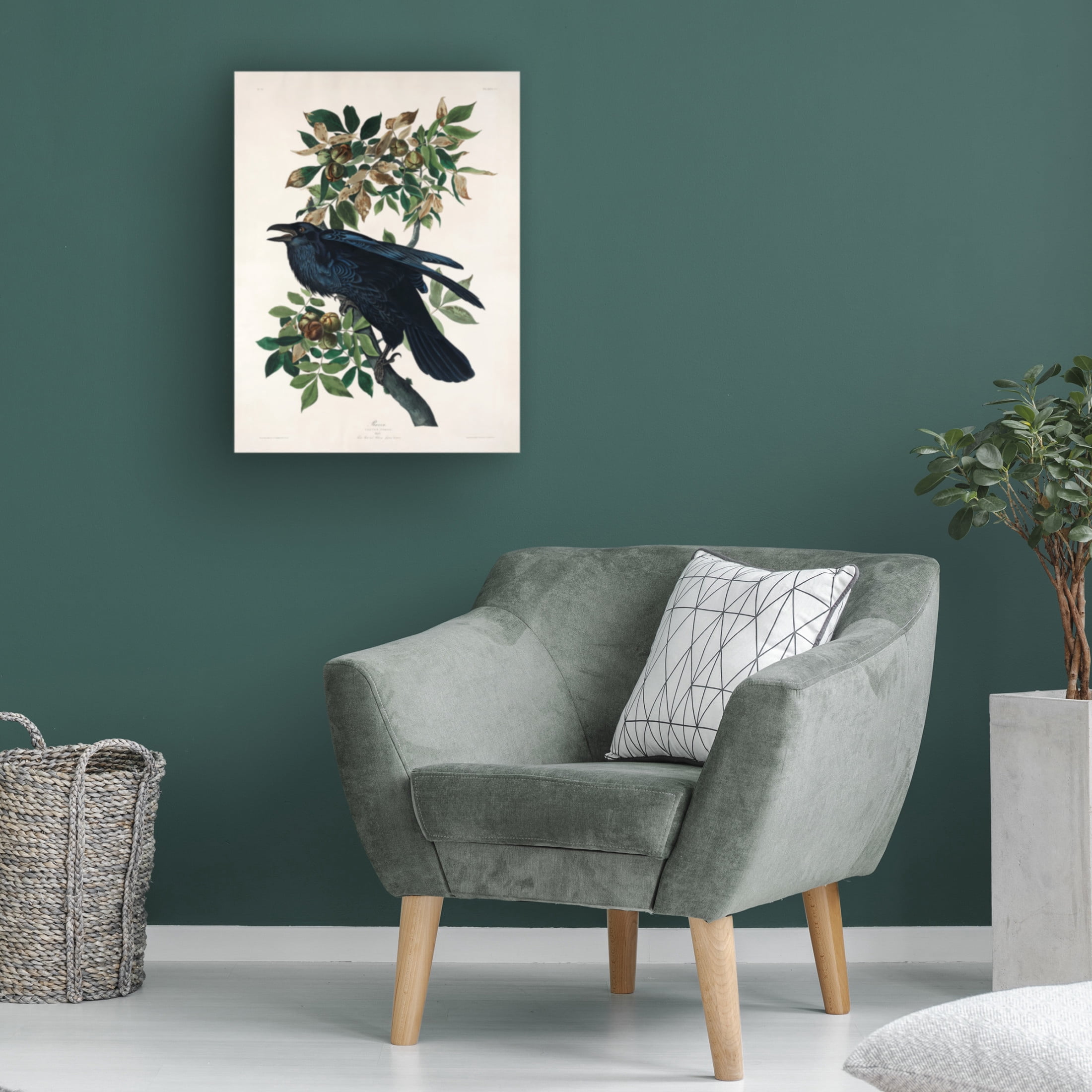 Trademark Fine Art Pictufy   Raven From Birds of America 1827 Canvas Wall Art
