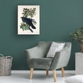 thumbnail image 3 of Trademark Fine Art Pictufy   Raven From Birds of America 1827 Canvas Wall Art, 3 of 4