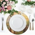 thumbnail image 4 of Ryvnso Giraffes on Grassland Round Plate Mats Dining Table Placemat Set of 4 for Holiday Decoration, 4 of 7