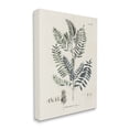 thumbnail image 4 of Stupell Industries Vintage Leaf Diagram Botanical & Floral Painting Gallery Wrapped Canvas Art Print Wall Art, 16 x 20, 4 of 8