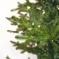 thumbnail image 2 of Vickerman 9' x 69" Georgian Fraser Fir Artificial Pre-Lit Christmas Tree with Lights and Tree Stand, 2 of 2