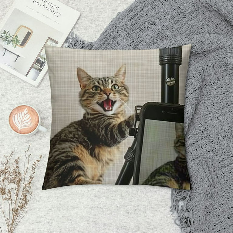 Akjvoe Fathers Day Pillow Covers Animal Pillow Covers Cat Throw