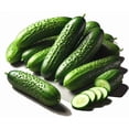 thumbnail image 1 of HJADGG Seeds Vegetable Self-pollinated Cucumber Firm Secret Indoor Non-GMO for Planting, 1 of 8