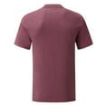 thumbnail image 2 of Fruit Of The Loom Mens Iconic 150 T-Shirt, 2 of 3