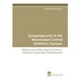 thumbnail image 1 of Synaptogenesis in the Mammalian Central Inhibitory Synapse, 1 of 2