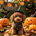 thumbnail image 6 of Aoznliie Dog Bandana, Halloween Hat & Scarf Set for Cats Small Dogs, 18x26 inch Pet Costume for Porch Geese, Black, 6 of 7