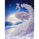 thumbnail image 1 of Cuadros Decorativos 5D bricolaje en forma especial parcial taladro diamante pintura pavo real Kit decoración (HB385) Wdftyju  de costura negro 4 estilos, 1 of 9