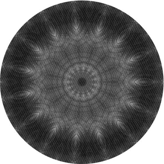Ahgly Company Machine Washable Indoor Round Transitional Charcoal Black Area Rugs, 6' Round