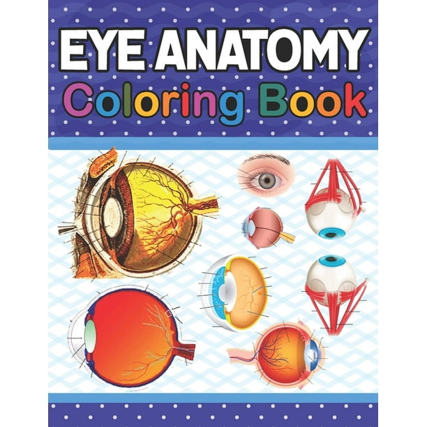 anatomy of the eye coloring pages