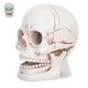 thumbnail image 3 of Skull Head with LED Light Up Glowing Eyes Resin Human Skull Sculpture Night Light Horror Party Decoration for Halloween Party, 3 of 3