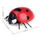thumbnail image 3 of Control Remoto Infrarrojo Sunnimix Juguete mariquita RC, 3 of 8