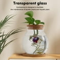 thumbnail image 3 of Desktop Fish Bowl Hydroponic Terrarium Glass Small Fish Tank with Bamboo Cushion, 3 of 4