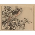 thumbnail image 2 of Kōno Bairei 14x12 Black Ornate Wood Framed Double Matted Museum Art Print Titled: Bairei Gafu, Pl.37 (1905), 2 of 5