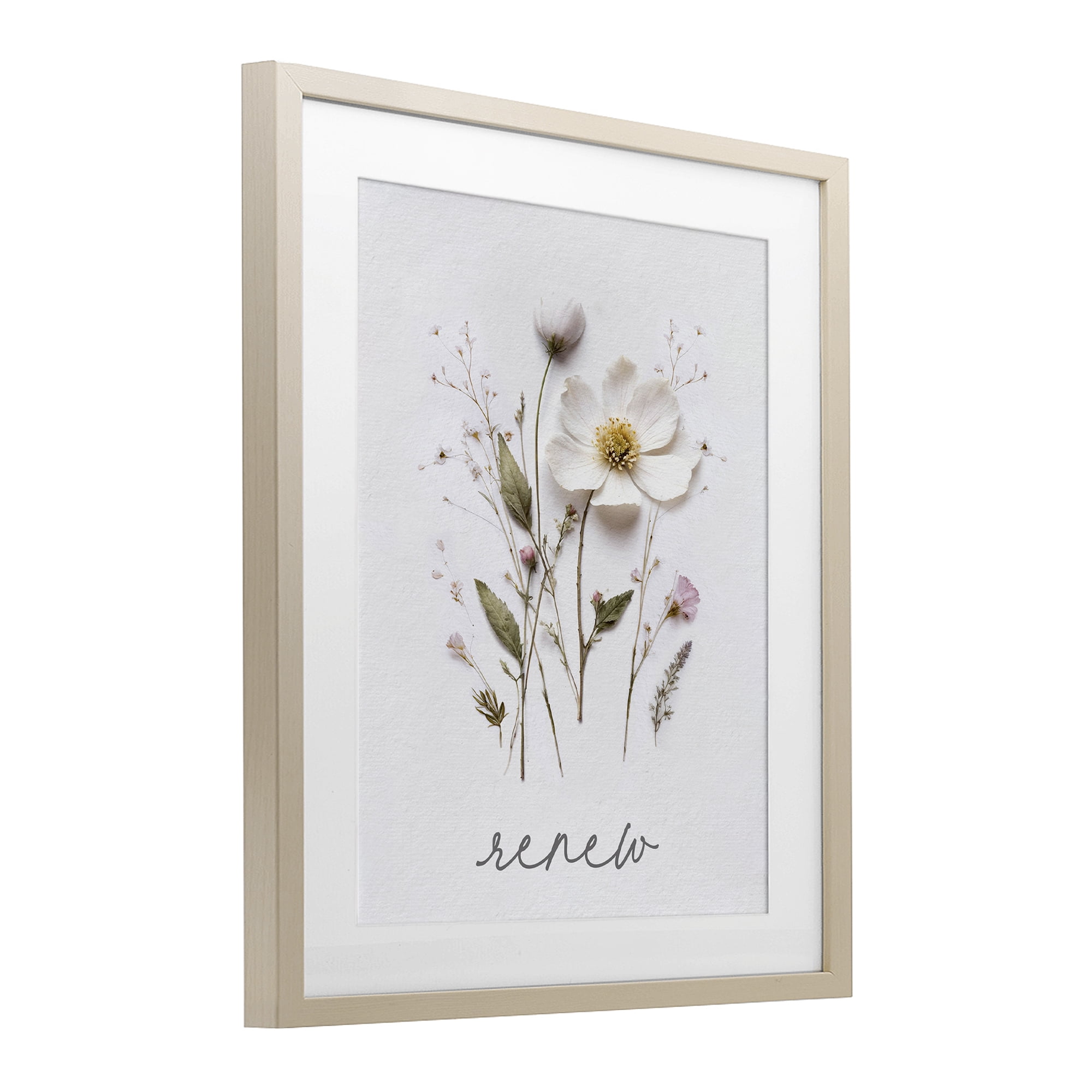 Pressed Flowers Renew Birch Framed Print Under Glass, design by Lettered and Lined