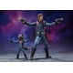 thumbnail image 2 of Figura de Acción Bandai S.H.Figuarts Star Lord y Rocket Raccoon, 2 of 6