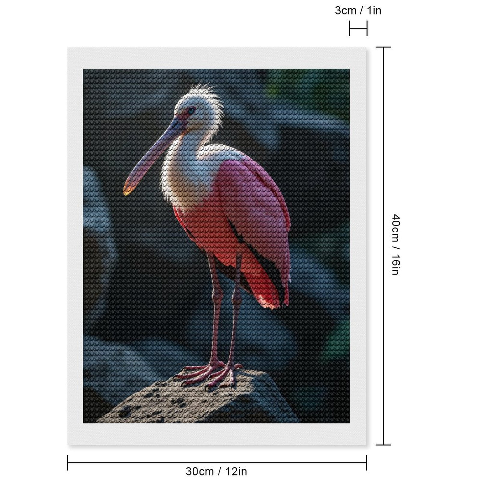Diamond Art Kit for Adults, Feathered Elegance On Rocks Diamond Painting for Adults Beginners, 5D DIY Diamond Art Painting Kits, Colorful Diamond Painting Craft for Home Decor 12x16