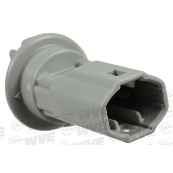 WVE 1P2467 License Plate Light Socket