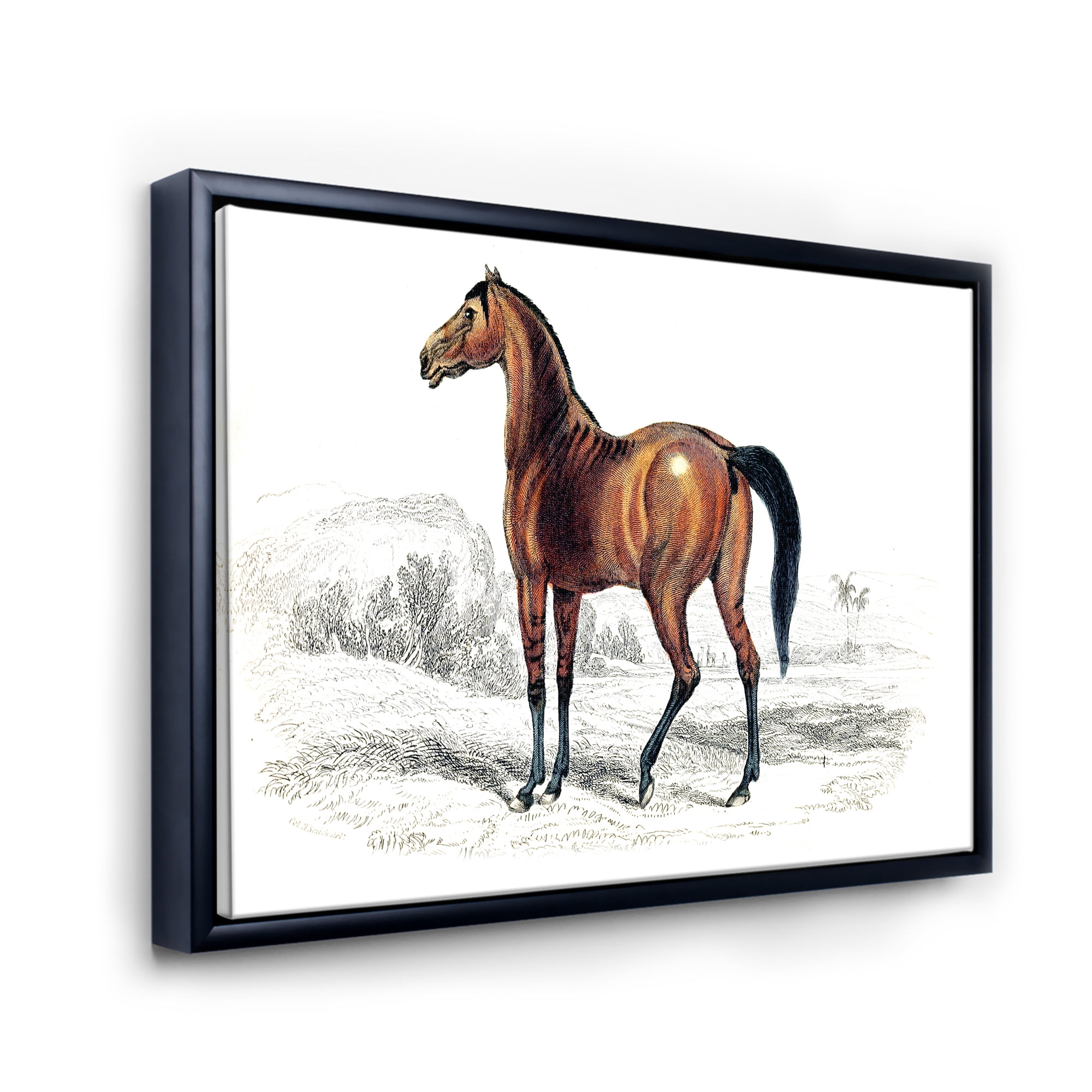 Designart 'Ancient Horse' Farmhouse Framed Canvas Wall Art Print