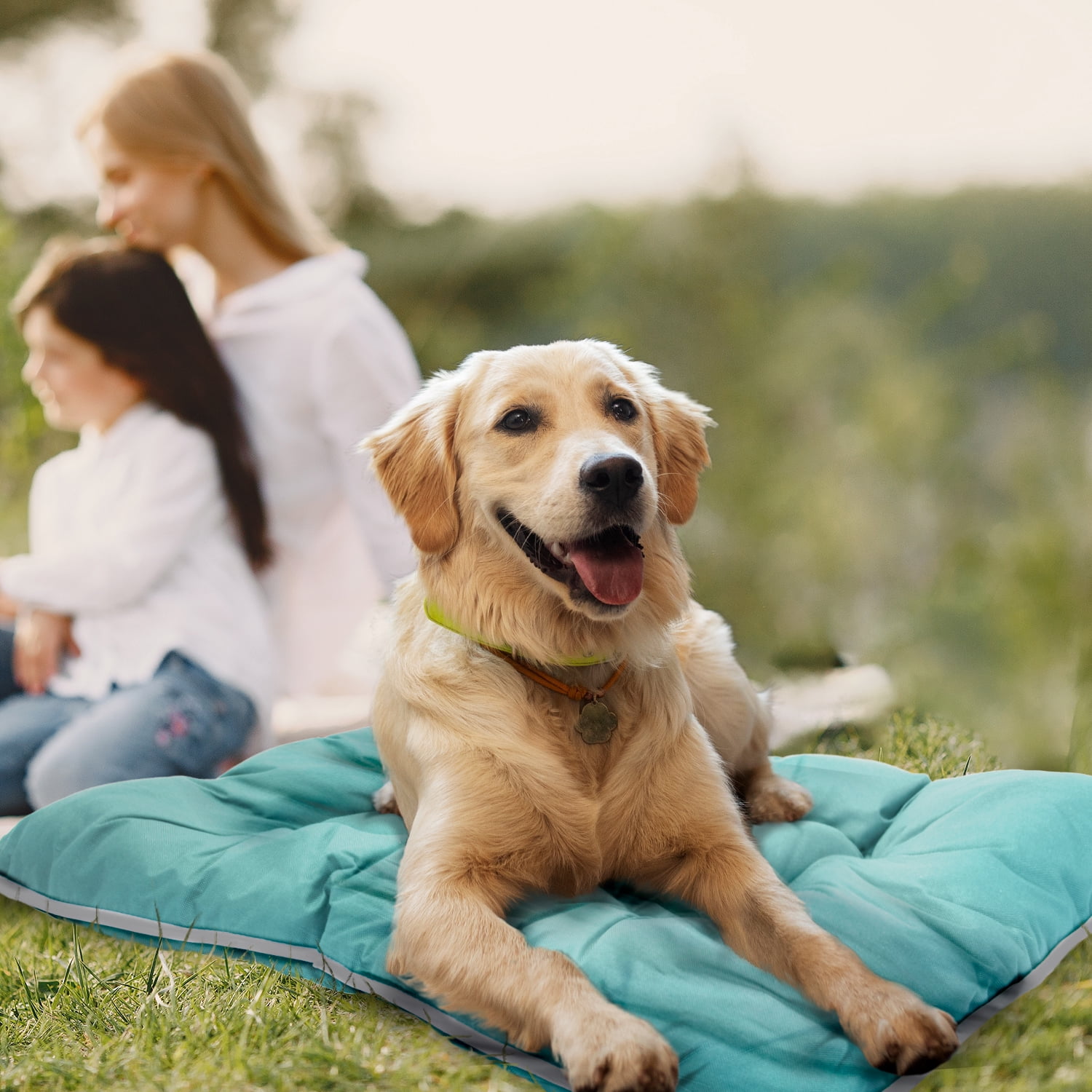Precious Tails Co-Pilot Waterproof Dog Bed