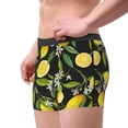 thumbnail image 2 of Yiaed Lemon Fruits Flowers Leaves Print Men's Soft Cotton Boxer Shorts Breathable Boxers Underwear Moisture-Wicking Underwear Stretch Boxer Briefs for Man-Small, 2 of 5