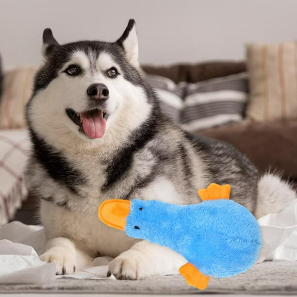 Walmart duck hot sale dog toy