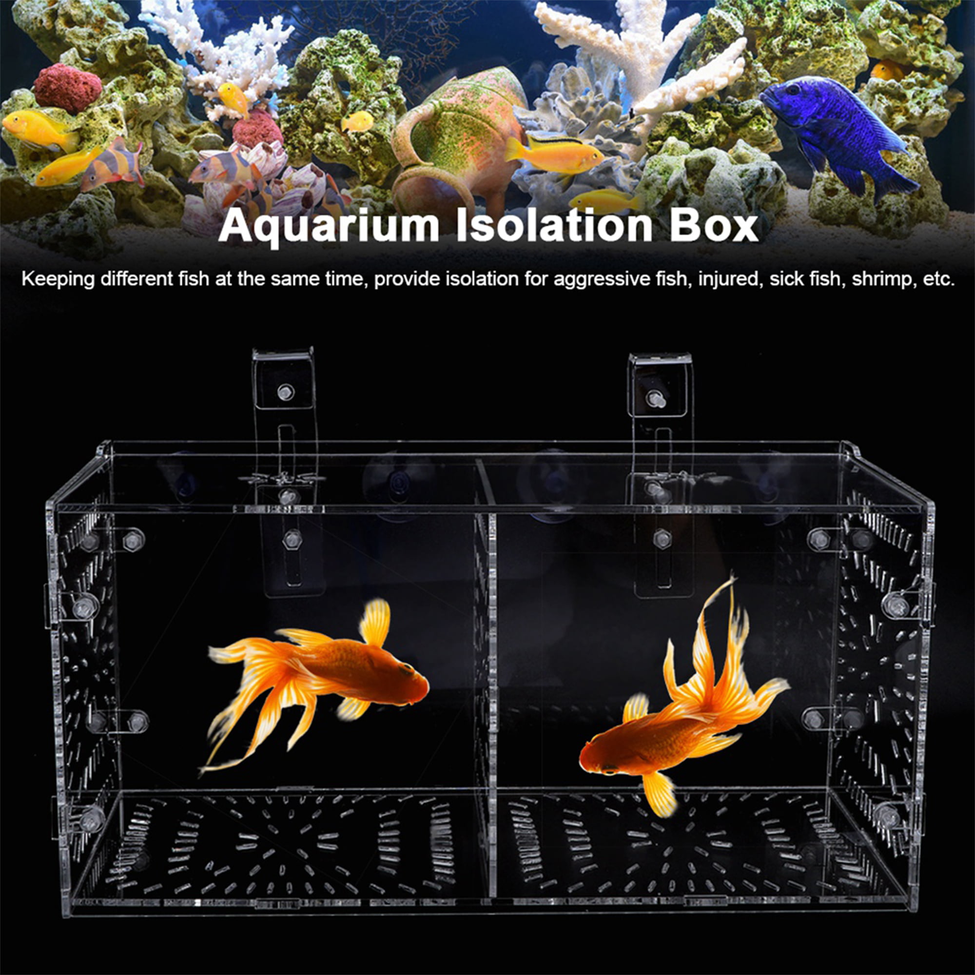 Fish Tank Breeding Box Criador Divisor De Aislamiento con Capas Ventosas Dobles De Acrílico Transparente De Liadance Aislamiento Fish Box 
