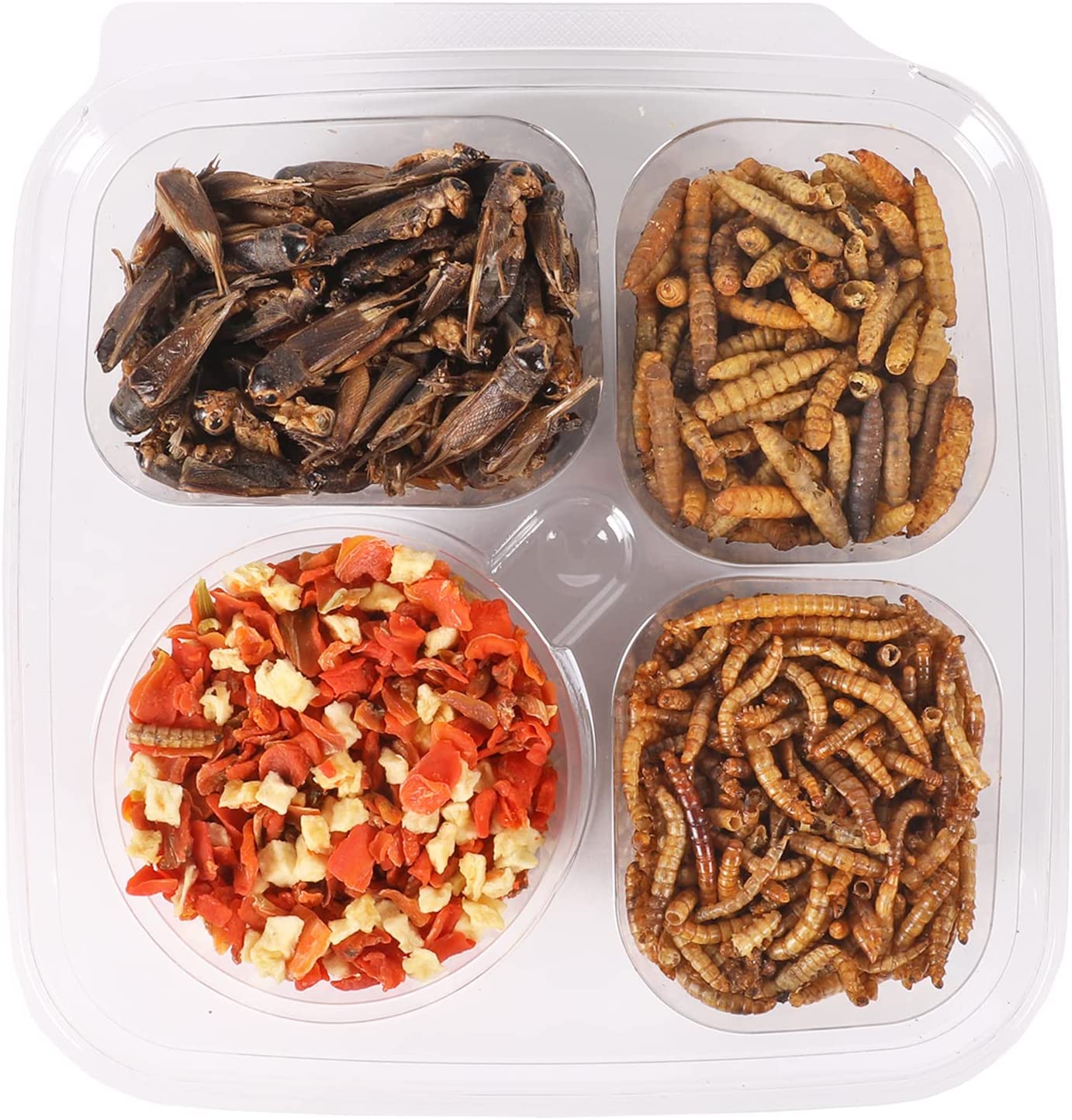 Buy Hedgehog Treat Variety Pack Healthy Natural Treat Assortment