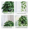 thumbnail image 4 of Planta Colgante Artificial de Pothos Elytus con Maceta Verde, 4 of 8