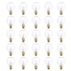 thumbnail image 1 of Bulbo AC230V G40 Globo incandescente de tungsteno Lámpara de 25 paquetes E12 Base Socket Holder IP44 Resistencia al agua Blanco cálido para cuerdas Luz Decoración de fiesta en casa Función de boda Por Tomshine Bulbo, 1 of 7