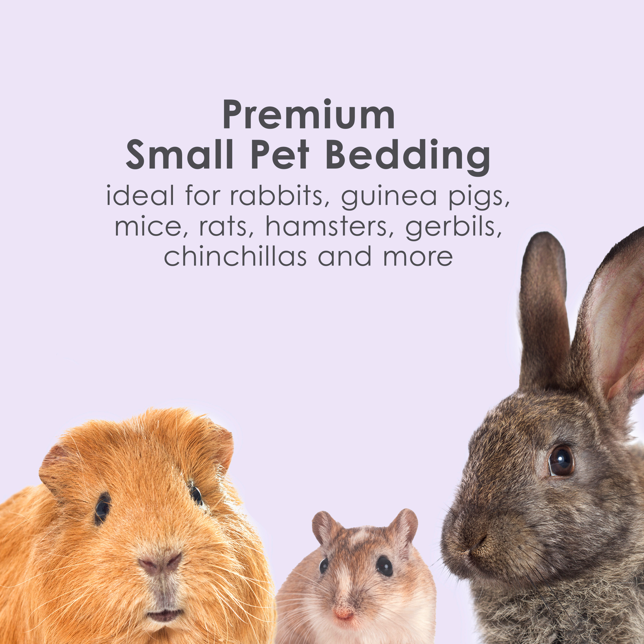 Kaytee Clean & Cozy Lavender Small Animal Paper Bedding, 49.2L photo 4