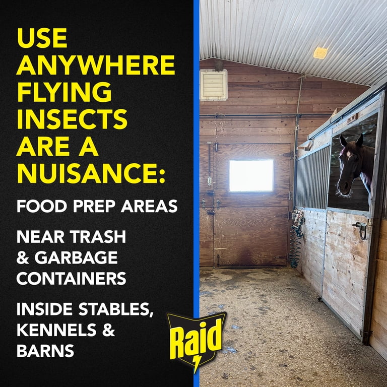 Raid Window Fly Trap, Transparent, 96-Pack photo 6