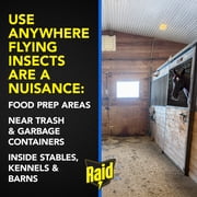 Raid Window Fly Trap Discreet Adhesives - 8 Count for Indoor Use