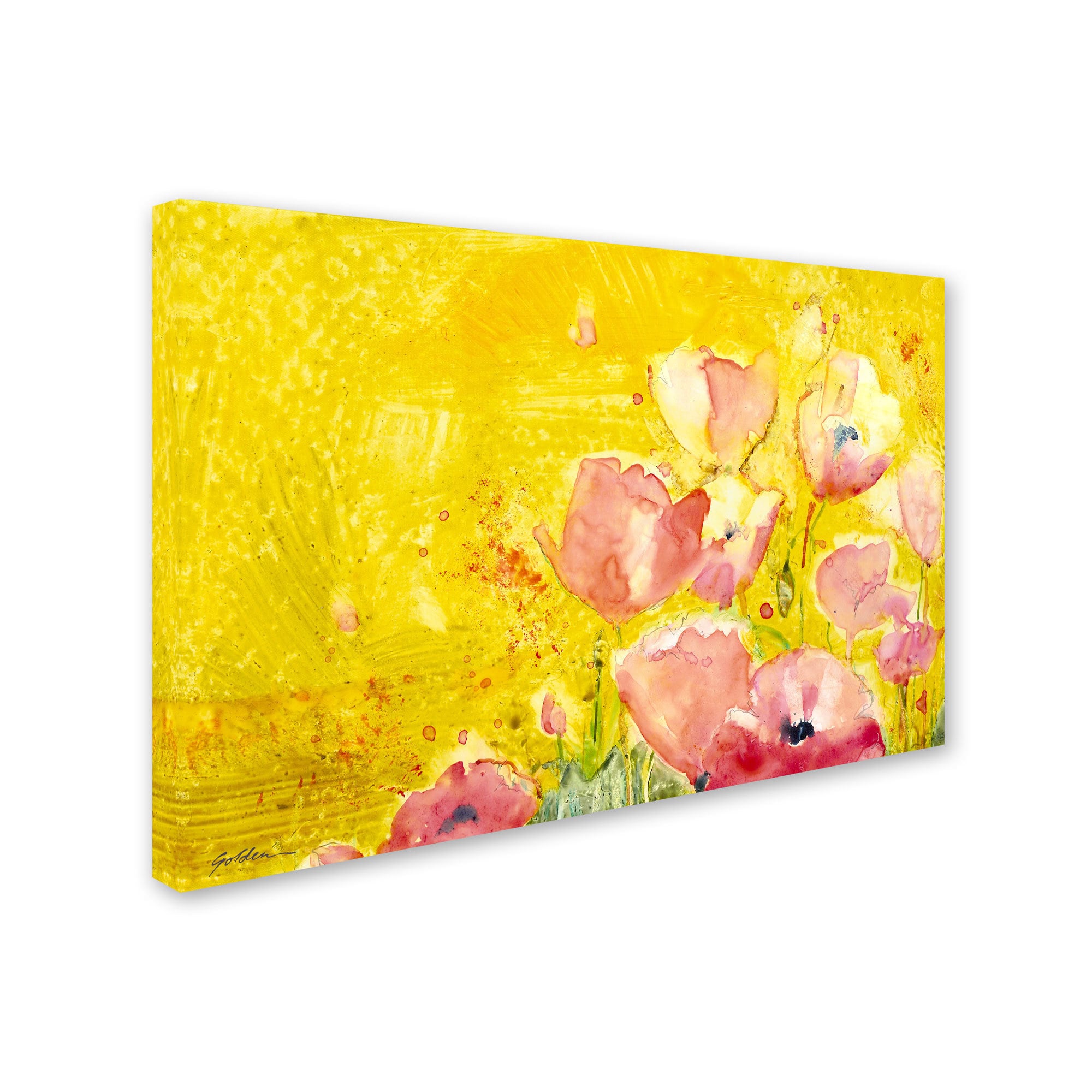 Trademark Fine Art "Pink Poppy Field" Canvas Art by Sheila Golden