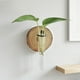 thumbnail image 4 of Hogar y cocina, Decoración del hogar, Otra decoración, Jarrones de pared, Macetas, Plantas hidropónicas, Jarrones, Baño, Oficina, Sala de estar, Decoraciones, Regalos, Jarrón decorativo de plástico, 4 of 6