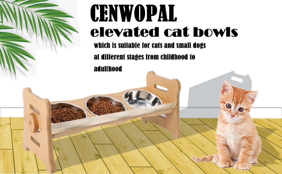 Elevated Pet Bowls for Cats & Small Dogs, Elevated and 15° Tilted Stainless Steel Elevated Cat Food Bowl with Bamboo Stand and Rubber Strip to Prevent Overflow for Indoor Cats and Pets