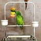 thumbnail image 3 of Brocheta de soporte Yuyangstore Sostenedor de la fruta 12cm/20cm, 3 of 6