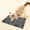 Gray Size M V5, variant on Pet Feeding Mat Non Slip Absorbent, QQZ Diatom Mud Pet Mat Easy to Clean, Silicone Waterproof Floor Mat for Cats Dogs Mealtime, White
