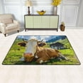 thumbnail image 2 of Dreamtimes Cattle Animal Field Non-Slip Area Rug Highland Cow Meadow Floor Carpet Comfort Floor Mats Decor for Indoor Front Porch,Living Room, Bedroom,Kitchen, 36"x24", 2 of 5