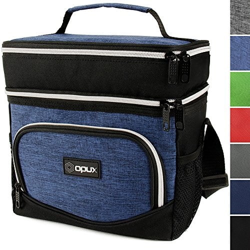 dual compartment lunch tote