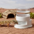 Automatic Waterer for Geckos and Small Pet Hydration Dispenser for ...