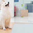thumbnail image 2 of LOVEVER Reusable Puppy Pad Washable Pee Pad Dogs Absorbent Pee Pad Dog Training Pad Floor Potty Pad, 2 of 6