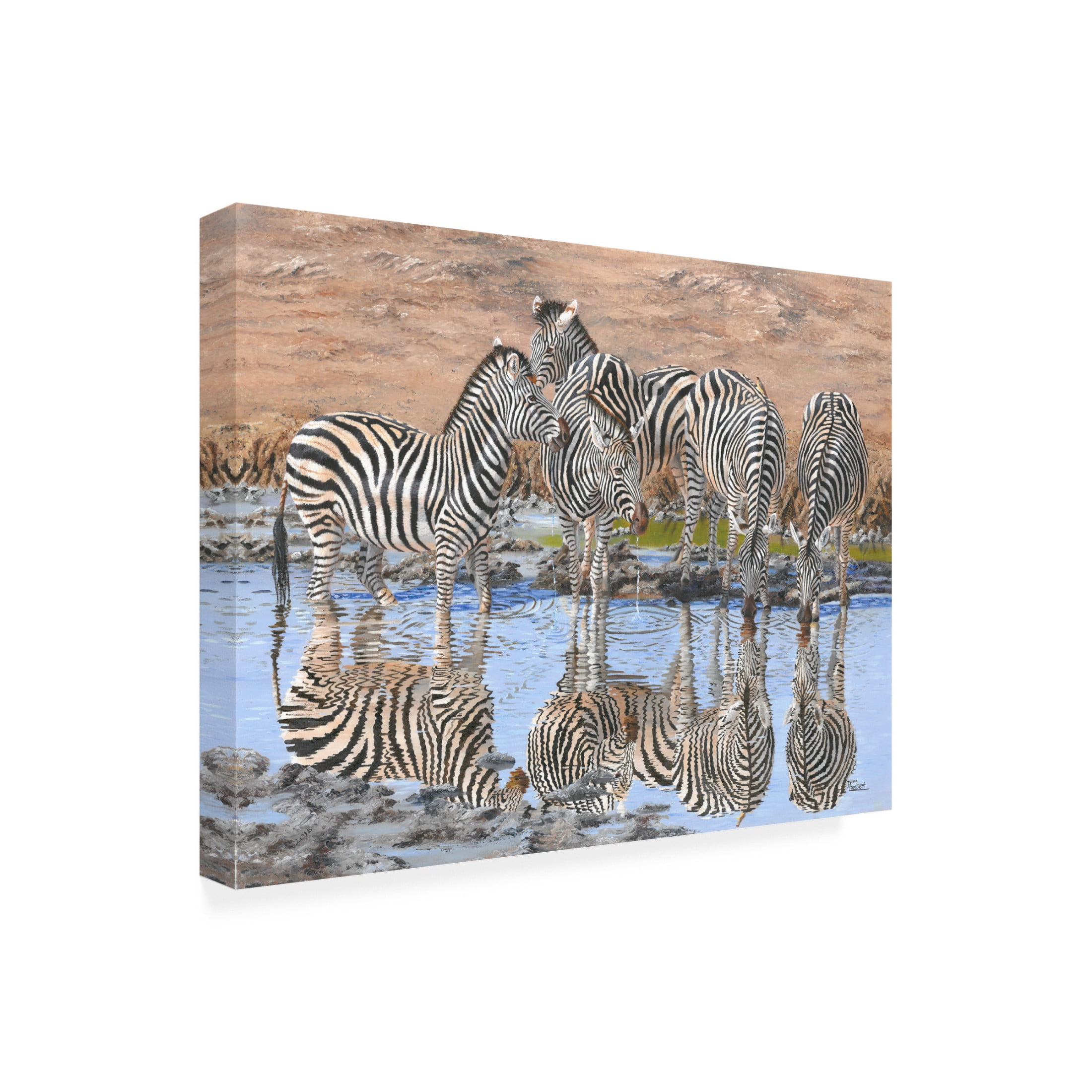 Canvas Wall Art - Delene Lambert 'Zebra Reflections' Wall Art for Living Room, Bedroom, or Office Décor by Trademark Fine Art - 24 x 18 Inches