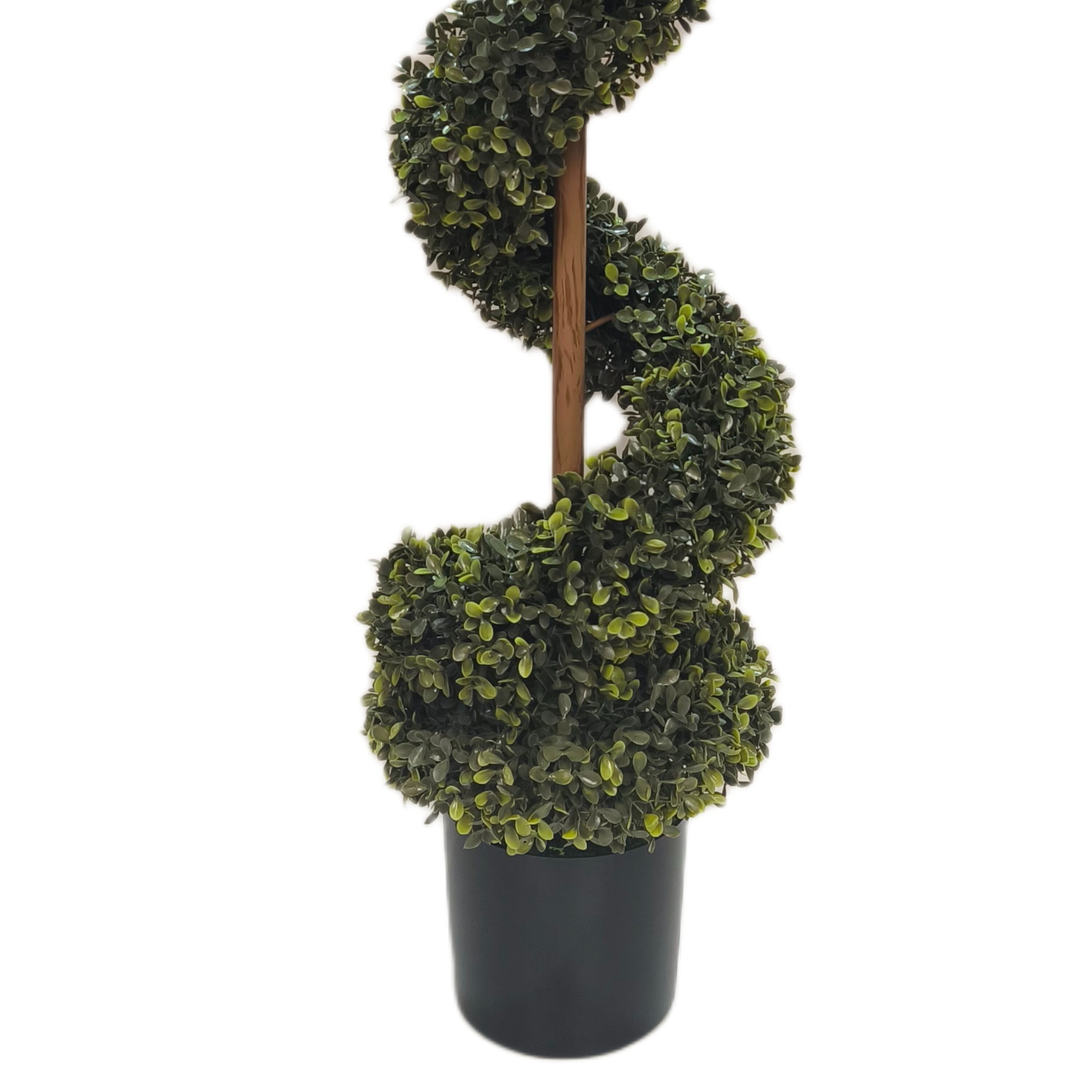 My Texas House 36" Swirl Boxwood Topiary