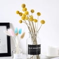thumbnail image 3 of 20 Stems Natural Dried Flower - Craspedia/Billy Balls, 3 of 5
