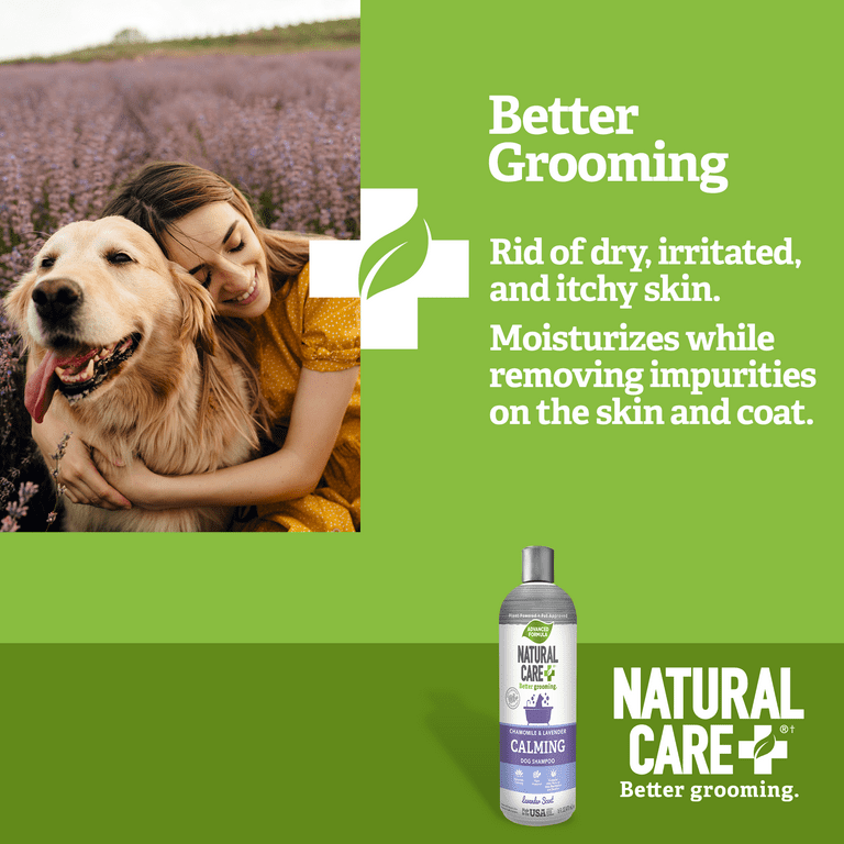 Dry dog top shampoo walmart
