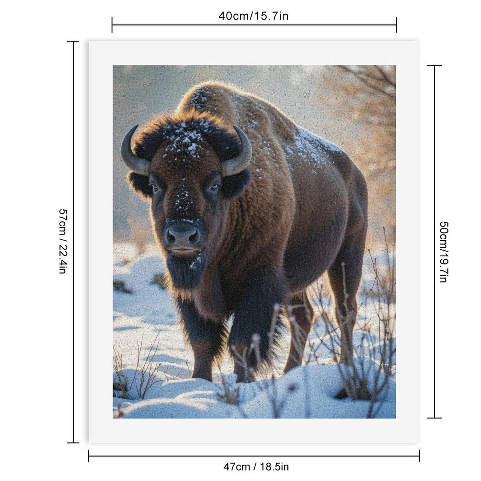 Paint by Numbers Kit for Adults, Winter Bison Majestic Fur Snow Paint by Numbers, Easy Paint by Numbers Kit for Adults Beginner, DIY Adult Paint by Number Kits on Canvas, Home Decor