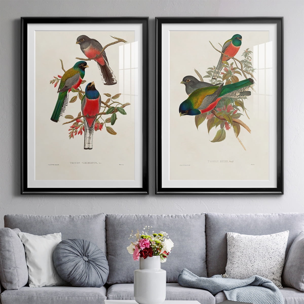 Wexford Home Elegant Trogons IX Premium Framed Print, 26.5" x 36.5" - Ready to Hang, Black (Set of 2)