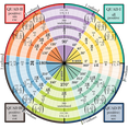 thumbnail image 3 of CafePress - Unit Circle Light T Shirt - Men's Classic Cotton T-Shirts, 3 of 3
