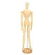 thumbnail image 2 of Modelo de Cuerpo Humano, Artista Suave Manikin 17.3 Pulgadas Juntas Ajustables de Madera para Dibujar, 2 of 7