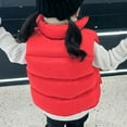 thumbnail image 4 of Diufon Baby Boys Girls Cotton Vest Fall Winter Stand Collar Warm Outerwear Coat Sleeveless Thickened Jacket, 4 of 6